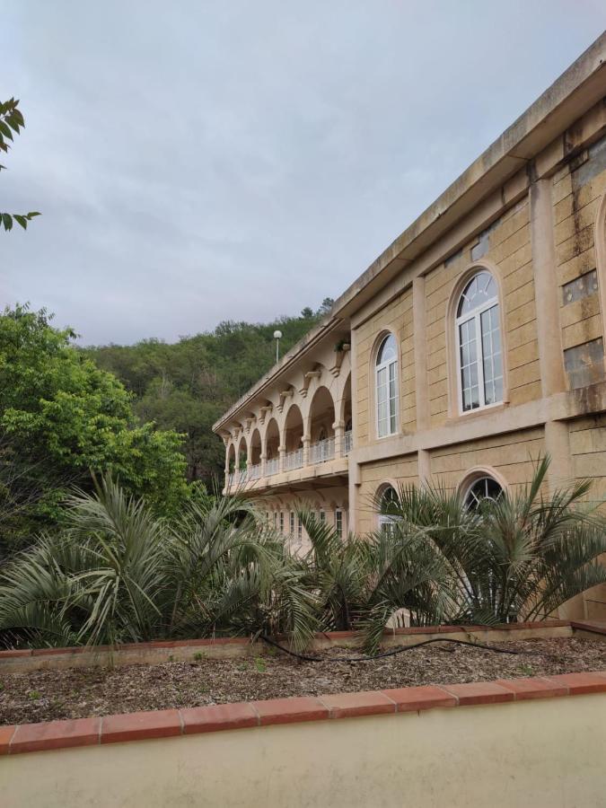 Joli Studio Du Vallespir Amélie-les-Bains-Palalda Kültér fotó